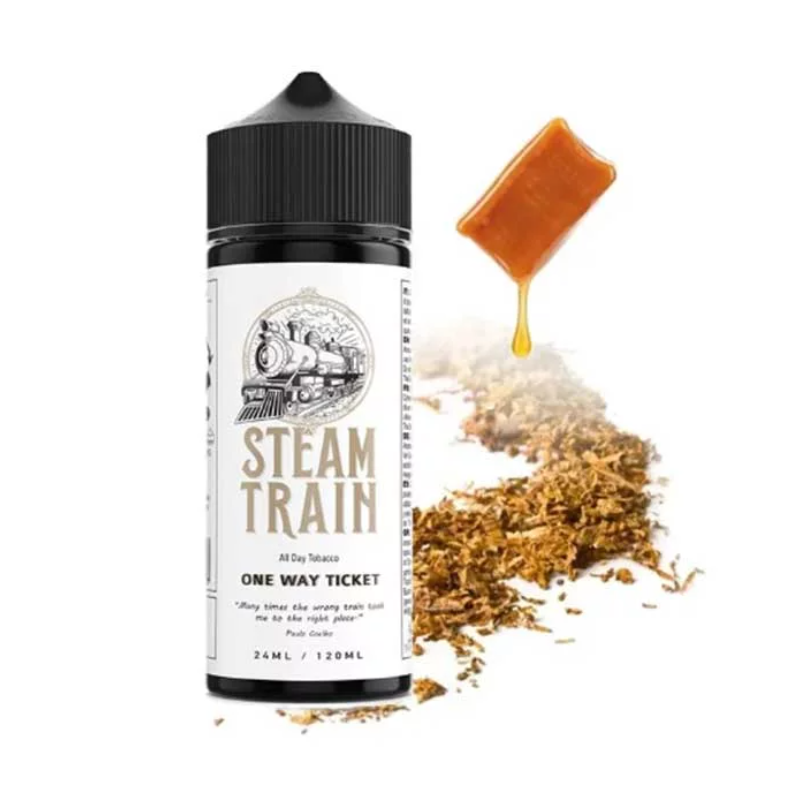 One Way Ticket 24/120ML by Steam Train